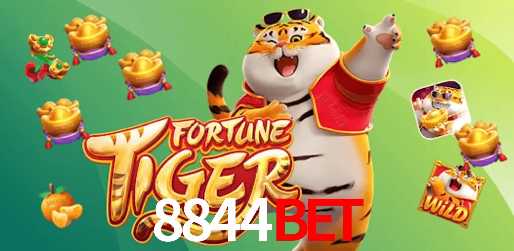 Experiência VIP 8844bet